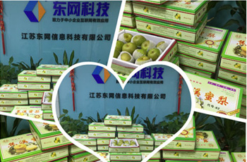 炎炎夏日送清涼，絲絲關(guān)愛(ài)沁人心！--江蘇東網(wǎng)派發(fā)夏令鮮果--焦溪特產(chǎn)蜜梨